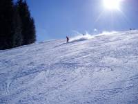 Skifahren H&uuml;ndle